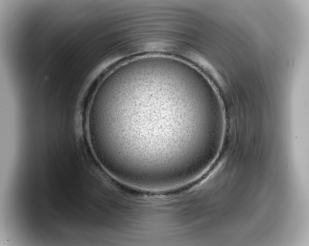 X0000099561019200805231508