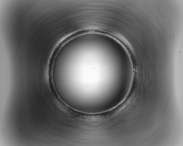 X0000099561020200805231508