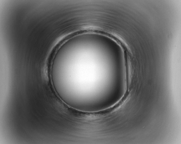 X0000099561022200805231508