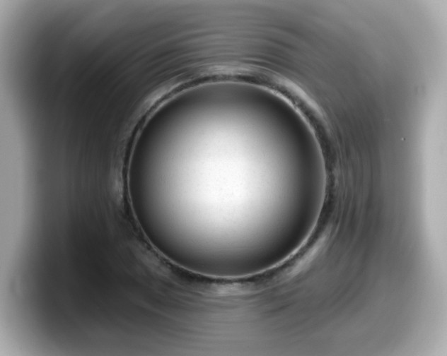 X0000099561025200805231508