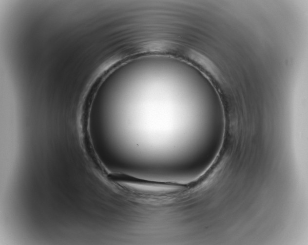 X0000099561026200805231508