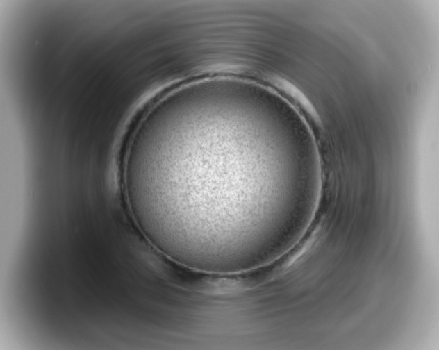 X0000099561027200805231508