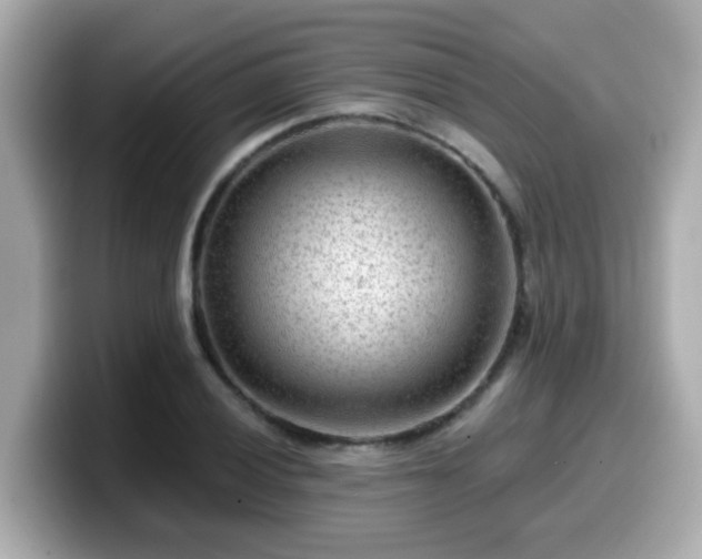 X0000099561028200805231508