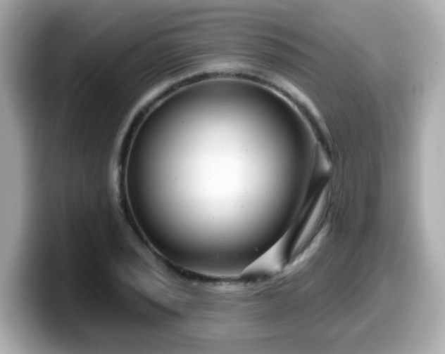 X0000099561029200805231508