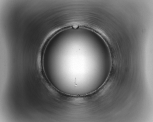 X0000099561030200805231508