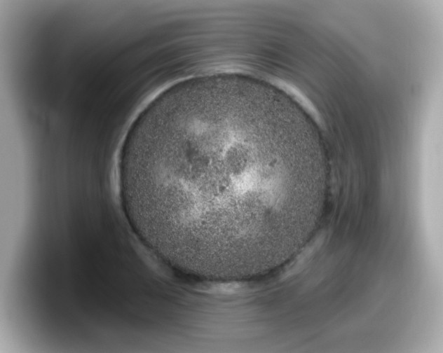 X0000099561031200805231508