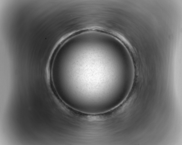 X0000099561032200805231508