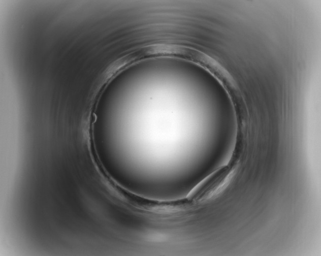 X0000099561033200805231508