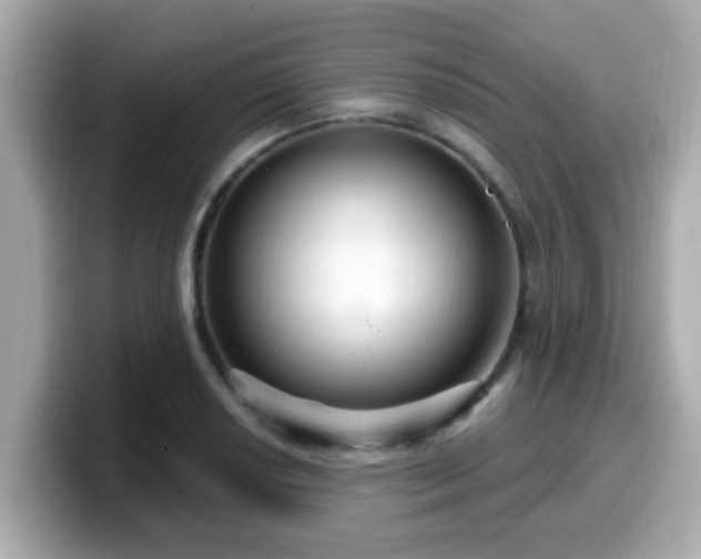 X0000099561034200805231508