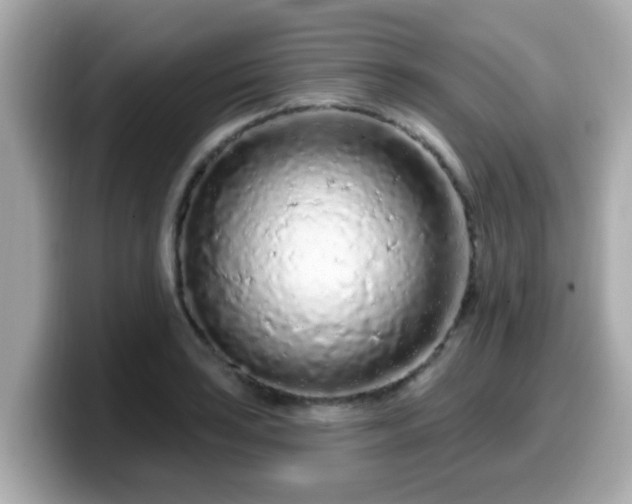 X0000099561035200805231508