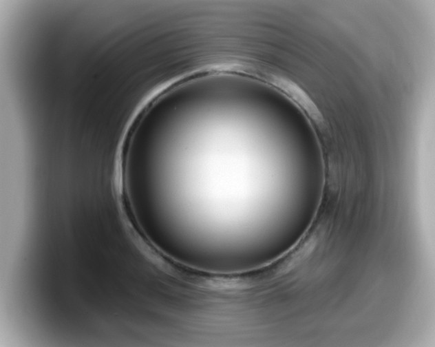 X0000099561036200805231508