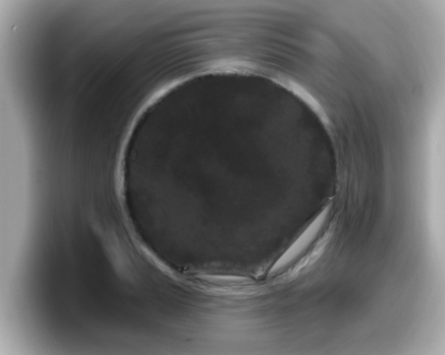 X0000099561037200805231508