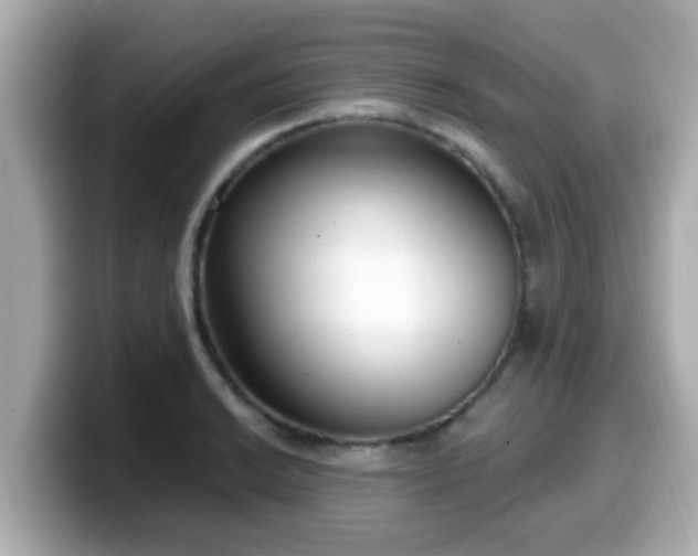 X0000099561038200805231508