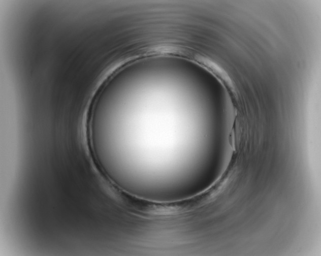 X0000099561039200805231508