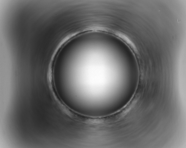 X0000099561040200805231508