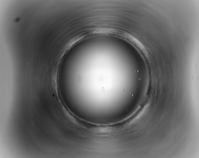 X0000099561041200805231508