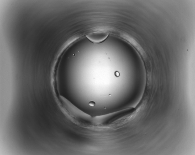 X0000099561042200805231508