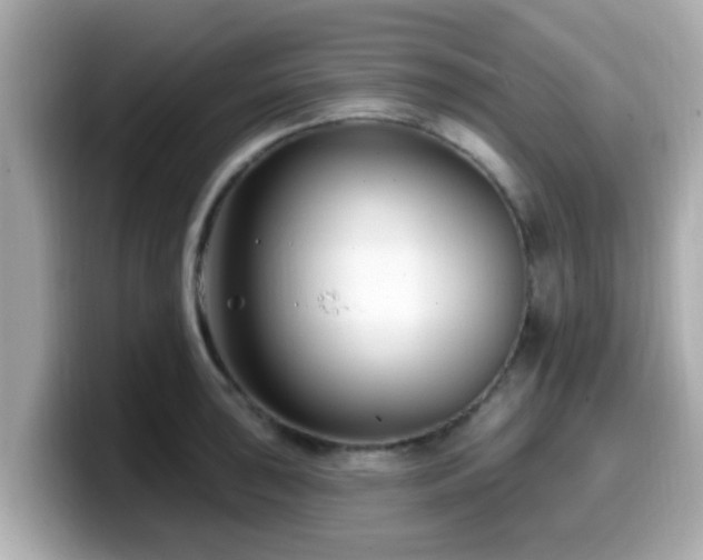 X0000099561043200805231508