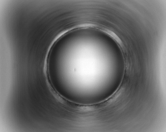 X0000099561044200805231508