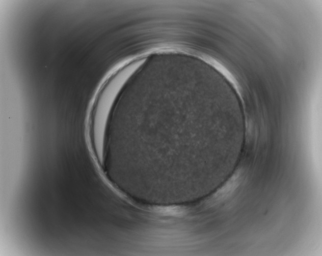 X0000099561045200805231508