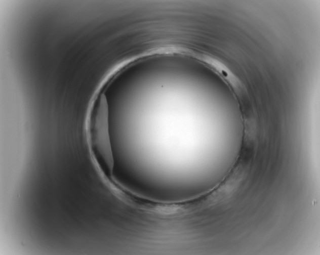 X0000099561046200805231508