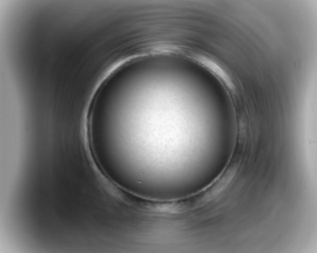 X0000099561047200805231508