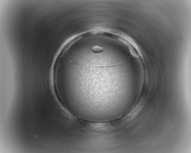 X0000099561048200805231508