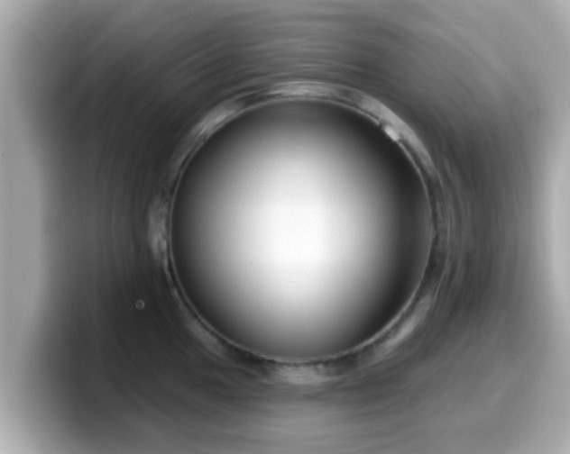 X0000099561049200805231508