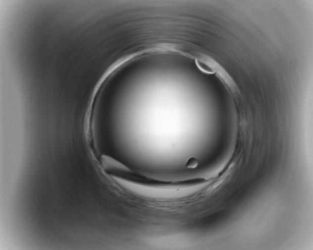 X0000099561052200805231508