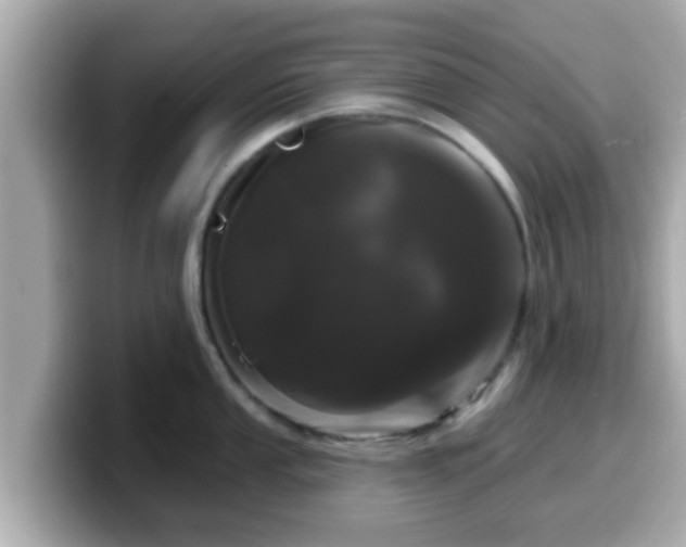 X0000099561053200805231508