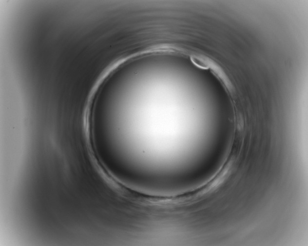 X0000099561054200805231508