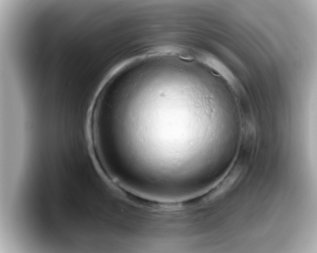 X0000099561055200805231508