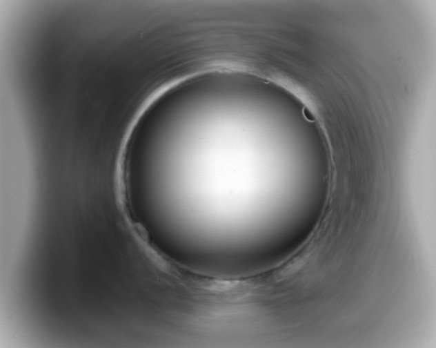 X0000099561056200805231508