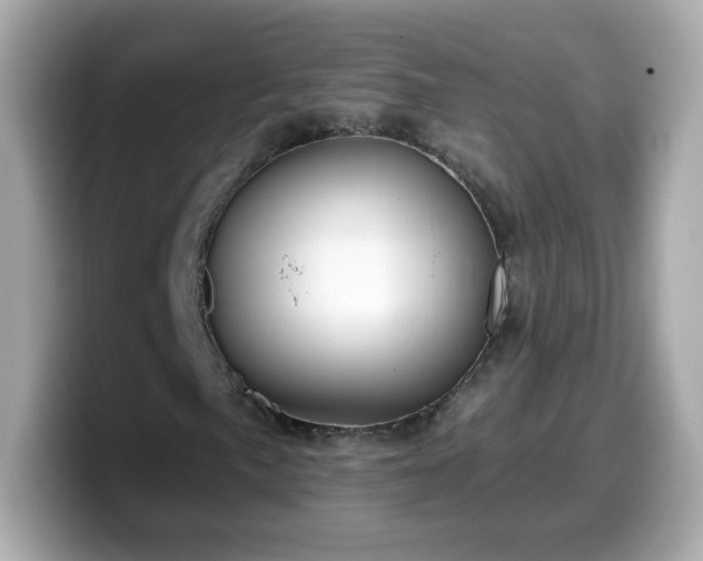 X0000099561057200805231508