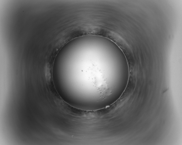 X0000099561058200805231508