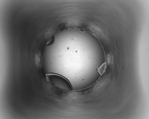 X0000099561059200805231508