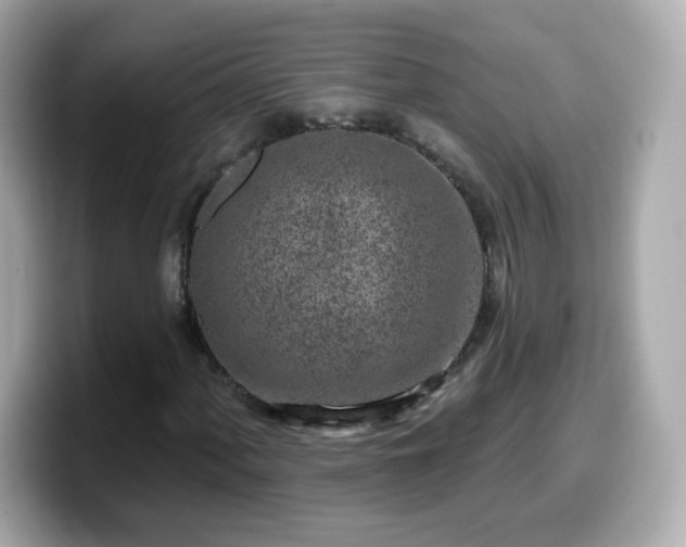 X0000099561060200805231508