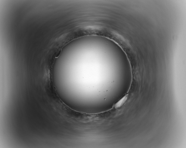 X0000099561061200805231508