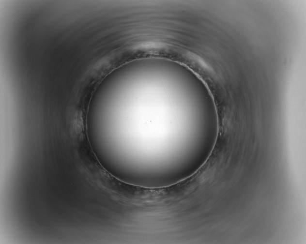 X0000099561062200805231508