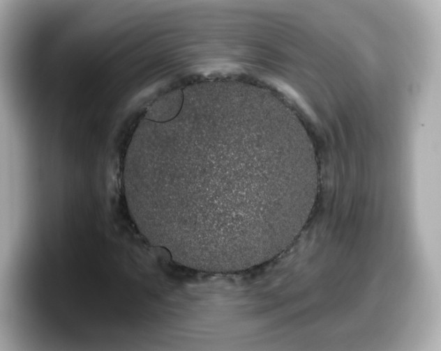 X0000099561063200805231508