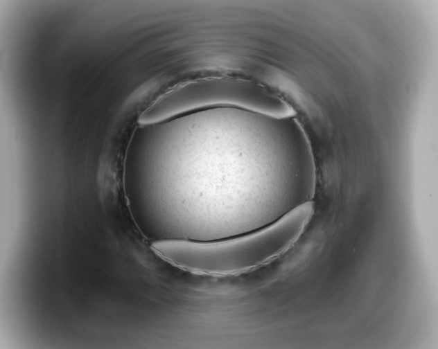 X0000099561064200805231508