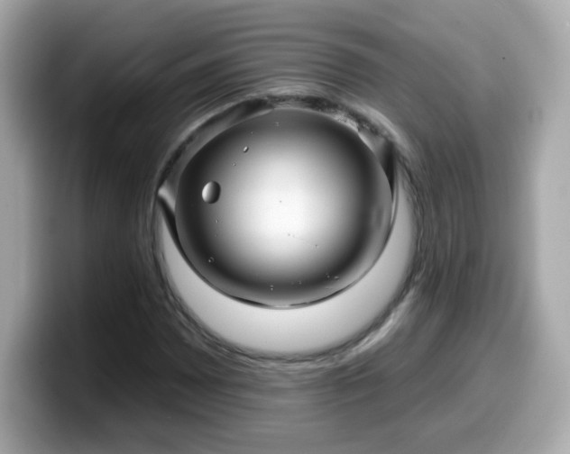 X0000099561065200805231508