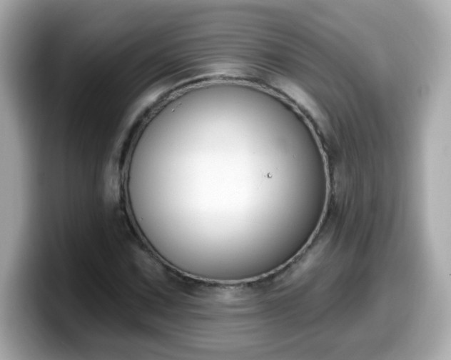 X0000099561067200805231508