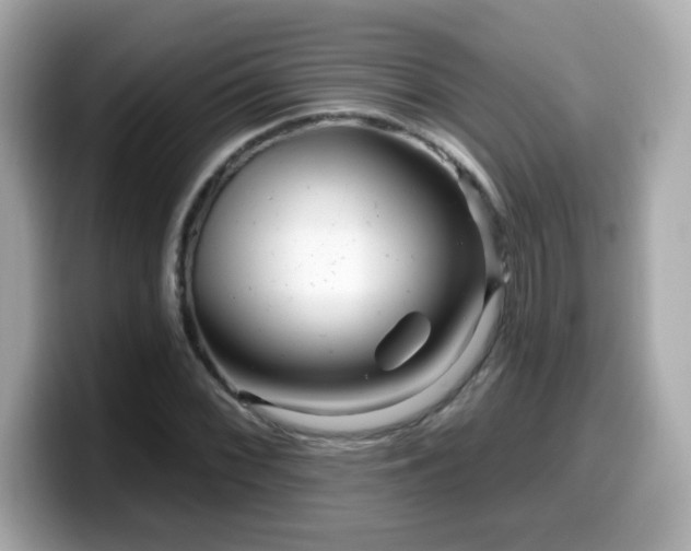 X0000099561068200805231508