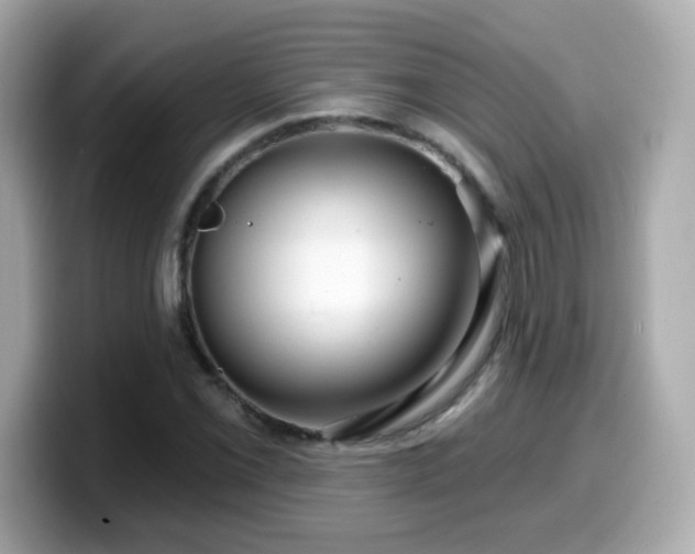 X0000099561069200805231508