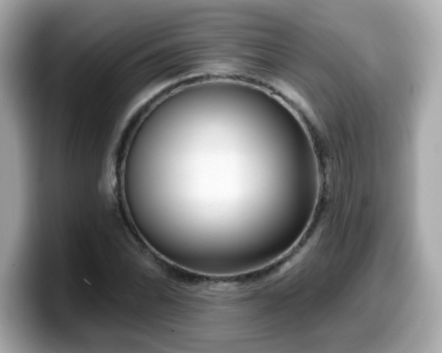 X0000099561070200805231508