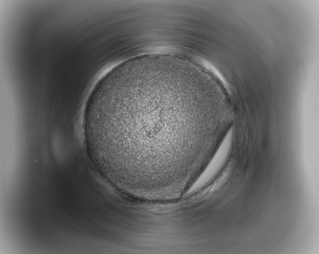 X0000099561071200805231508