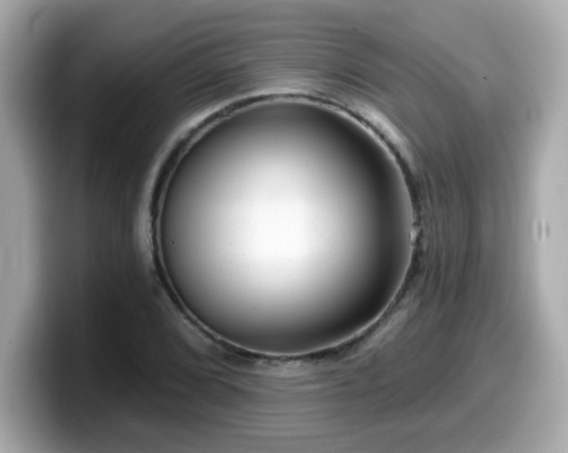 X0000099561072200805231508