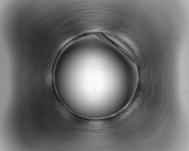 X0000099561073200805231508