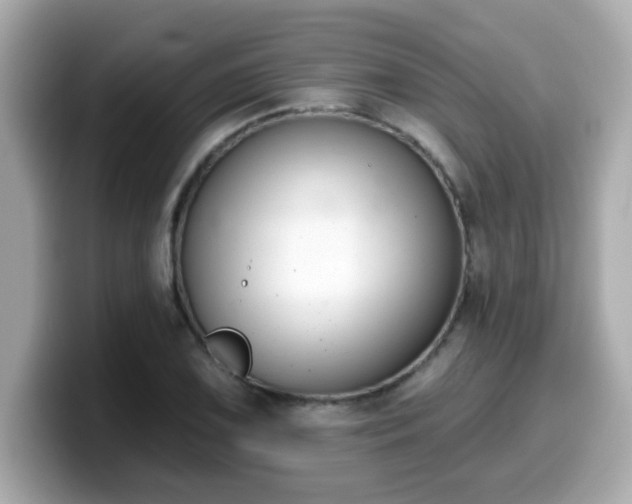 X0000099561075200805231508